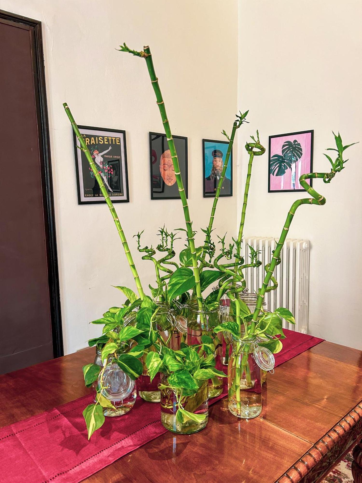 Residenza Delle Arti Guest house Bologna