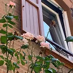 Casina Delle Rose
