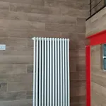 Zamboni Studio