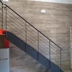 Zamboni Studio
