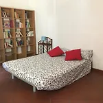 Sedicibis