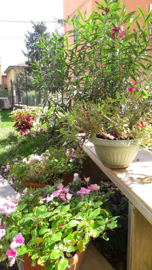 Apartment Borghetto San Donato 105