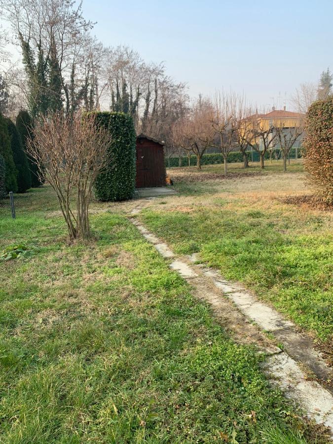 Scandellara 24 *