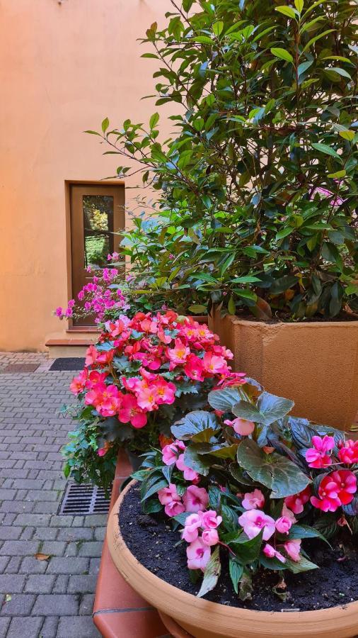 La Magnolia Bed & Breakfast *