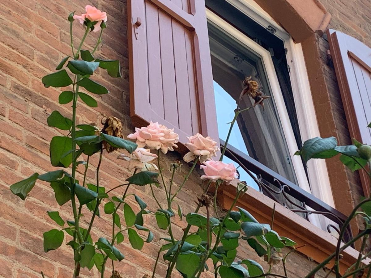 Apartamento Casina Delle Rose *