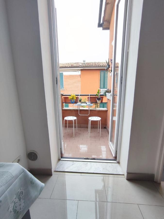 Camonia Bologna