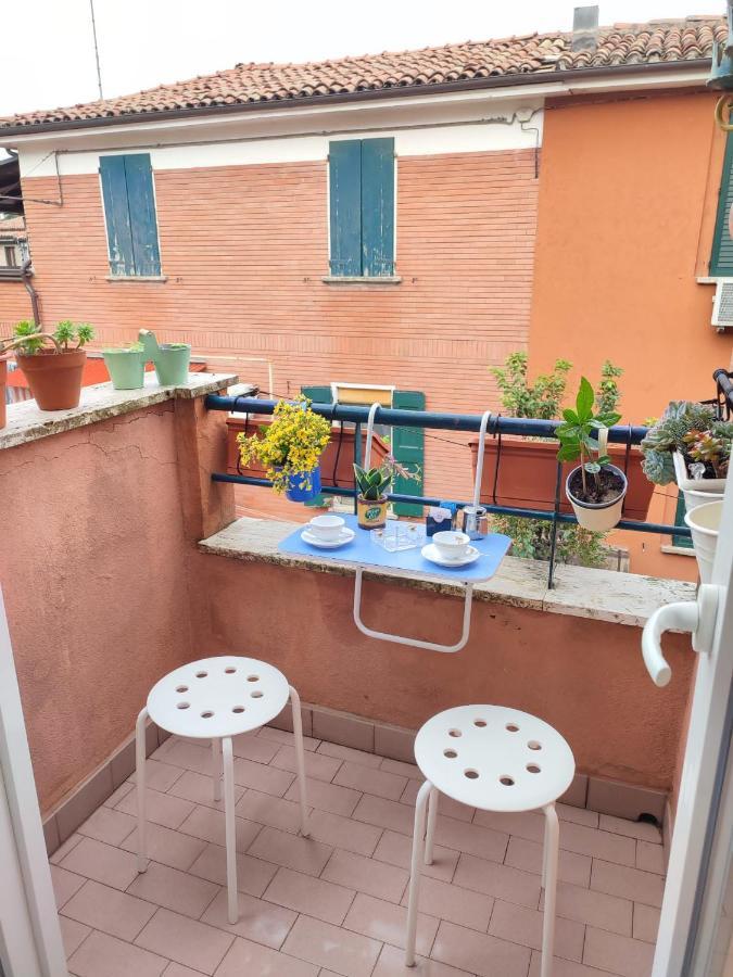 Apartment Camonia