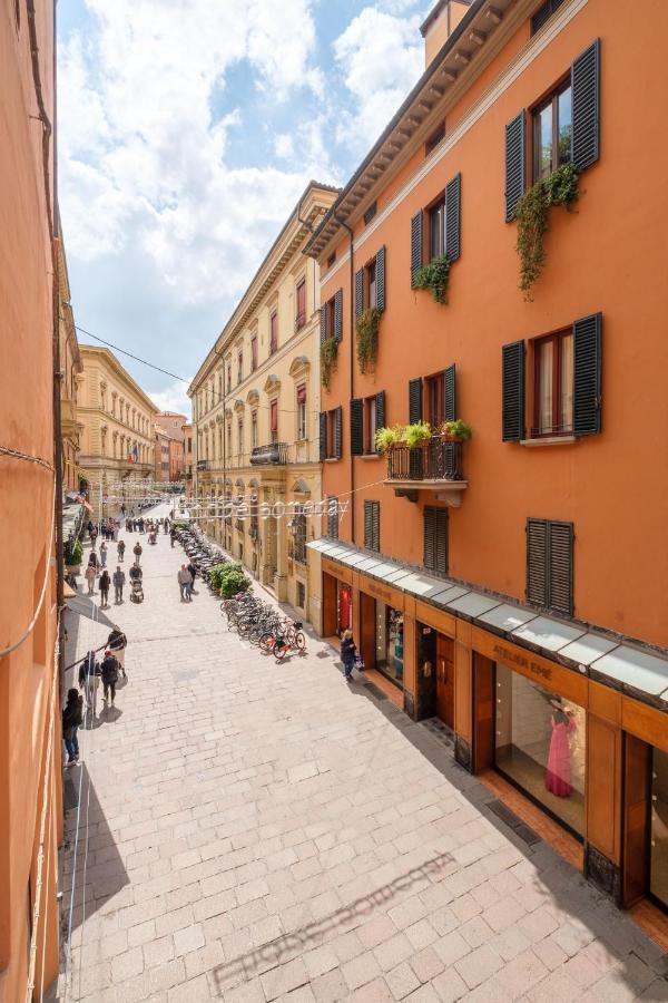 D'azeglio&galluzzi