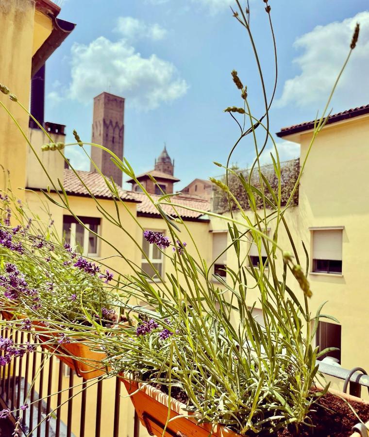 House Center Apartment Bologna