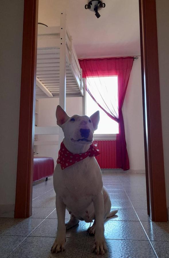 Bologna Homestay Frühstückspension