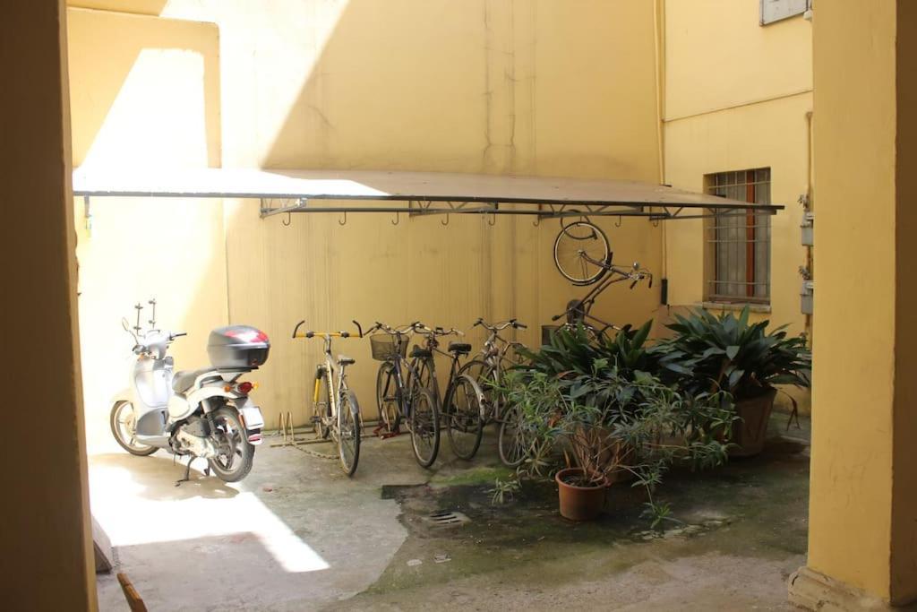 Apartment Lovely Flat, Ground Floor Centre Of Bologna! :) Bologna