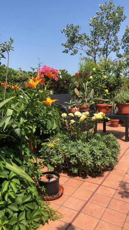Il Giardino Sui Tetti Apartment *