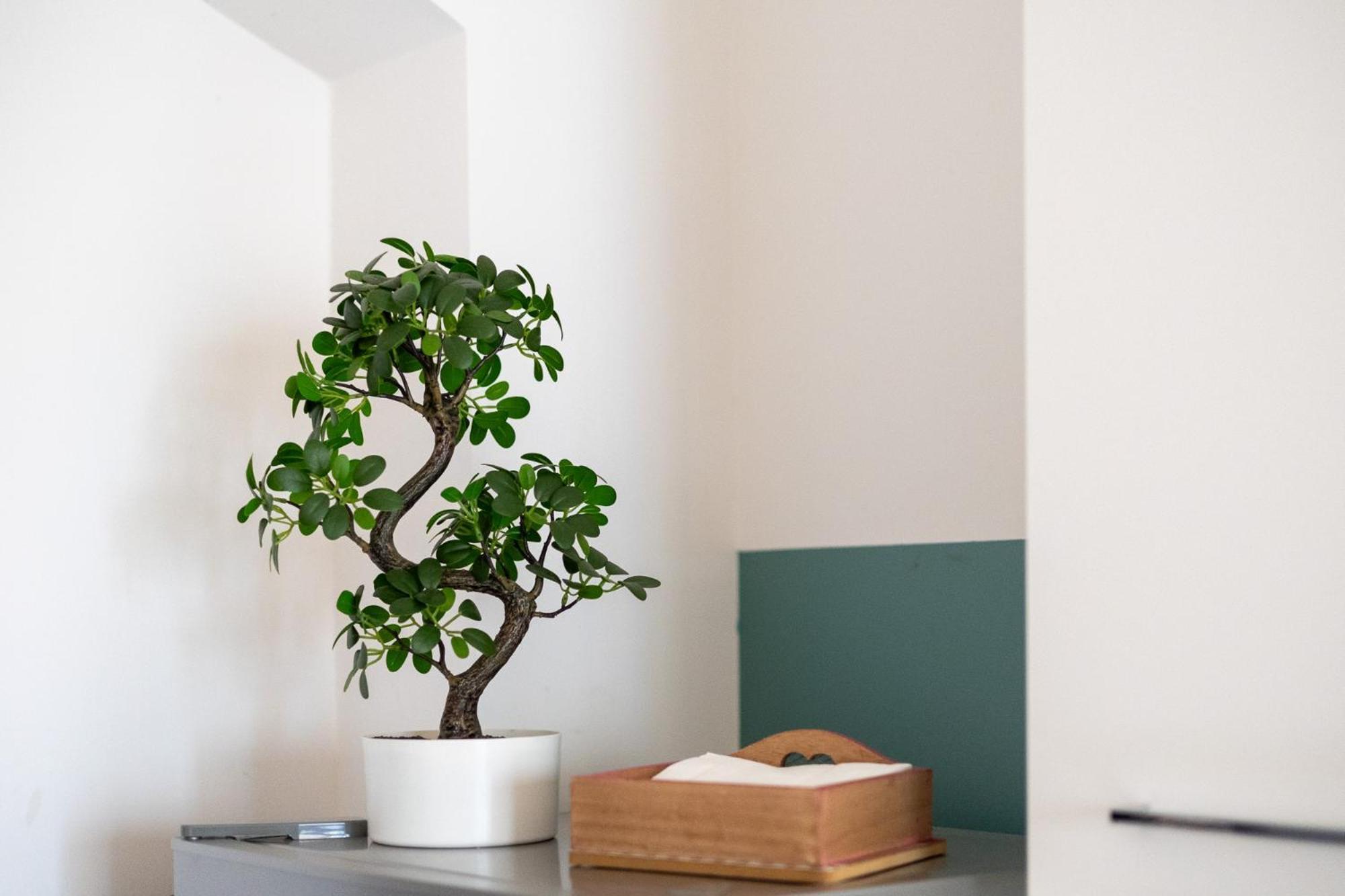 Apartment Azzurra1