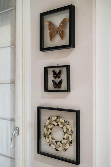 Apartment Casa Delle Farfalle