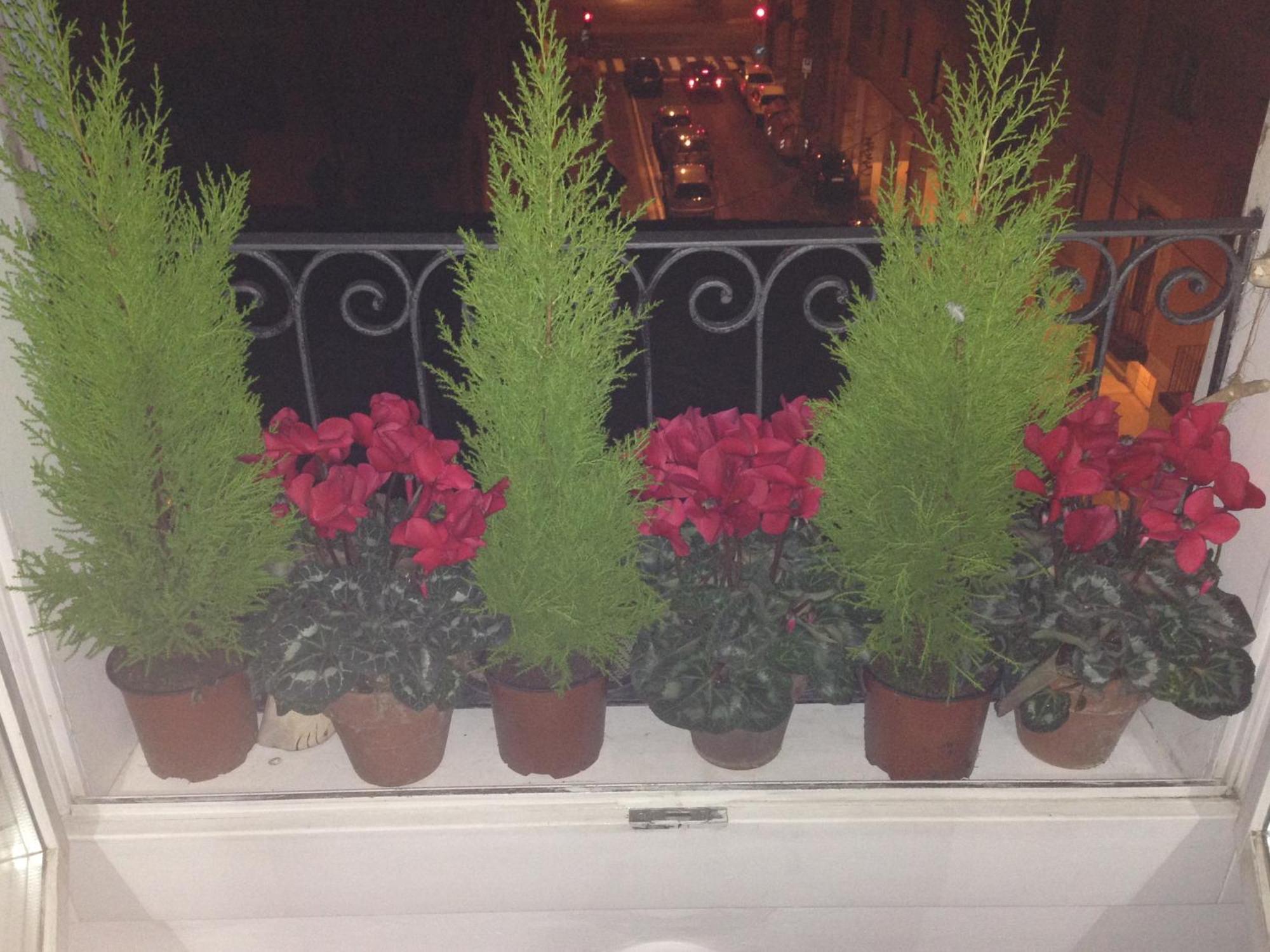 Apartamento La Finestra *