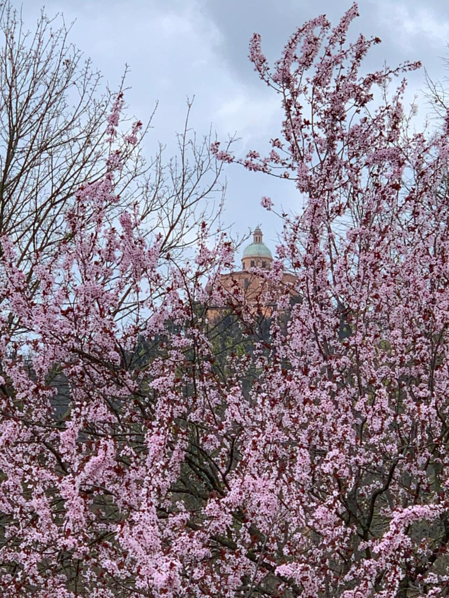 Apartment San Luca Exclusive *