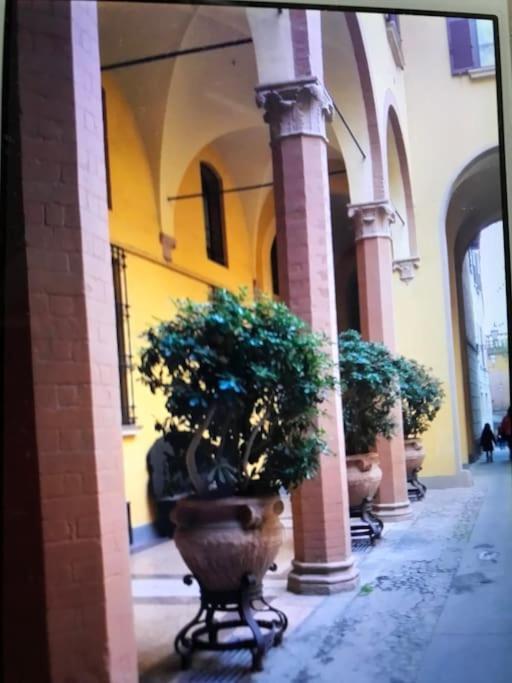 Appartement Cozy And Quiet Near Two Towers, *