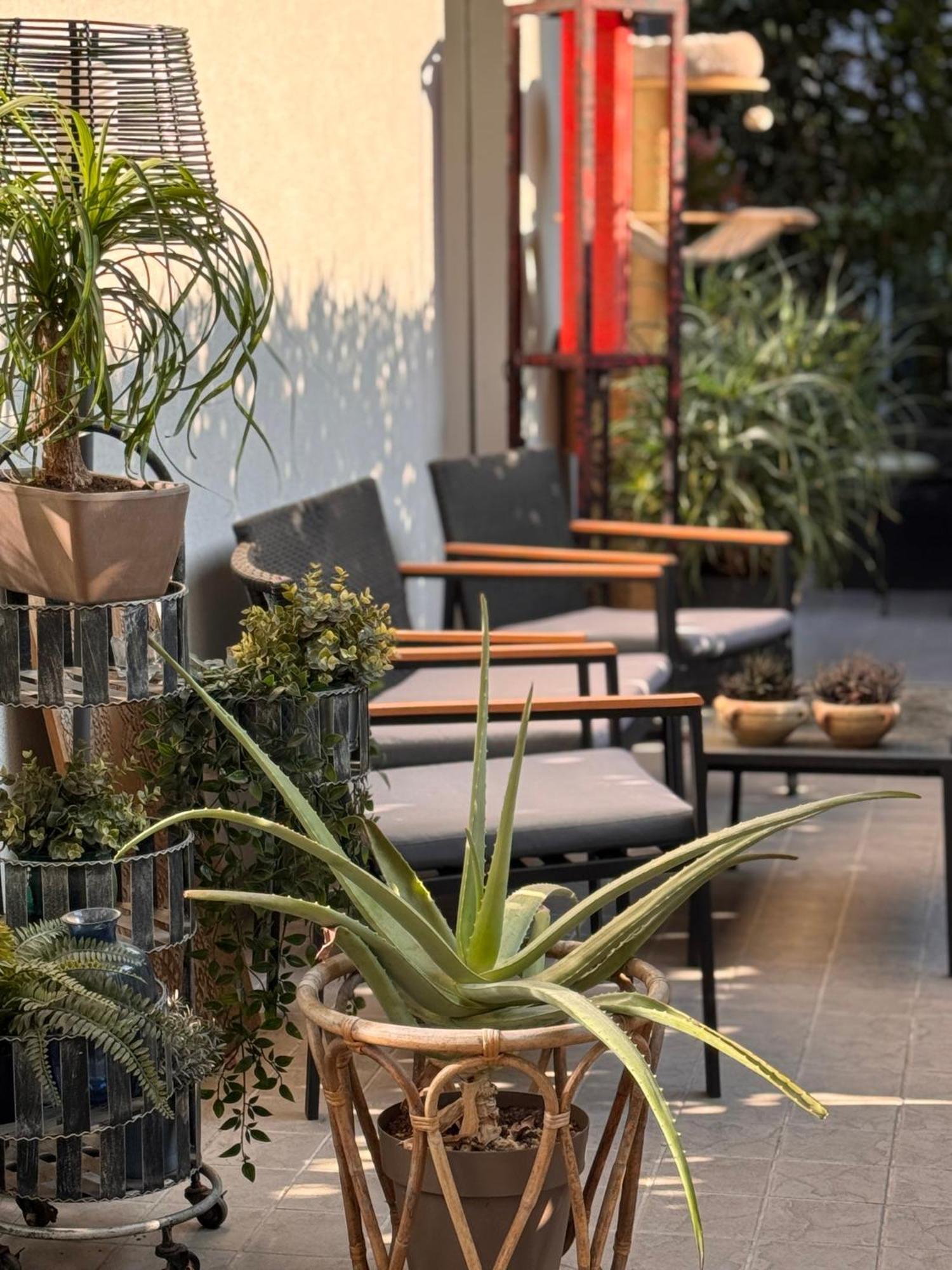 Privata Con Terrazza