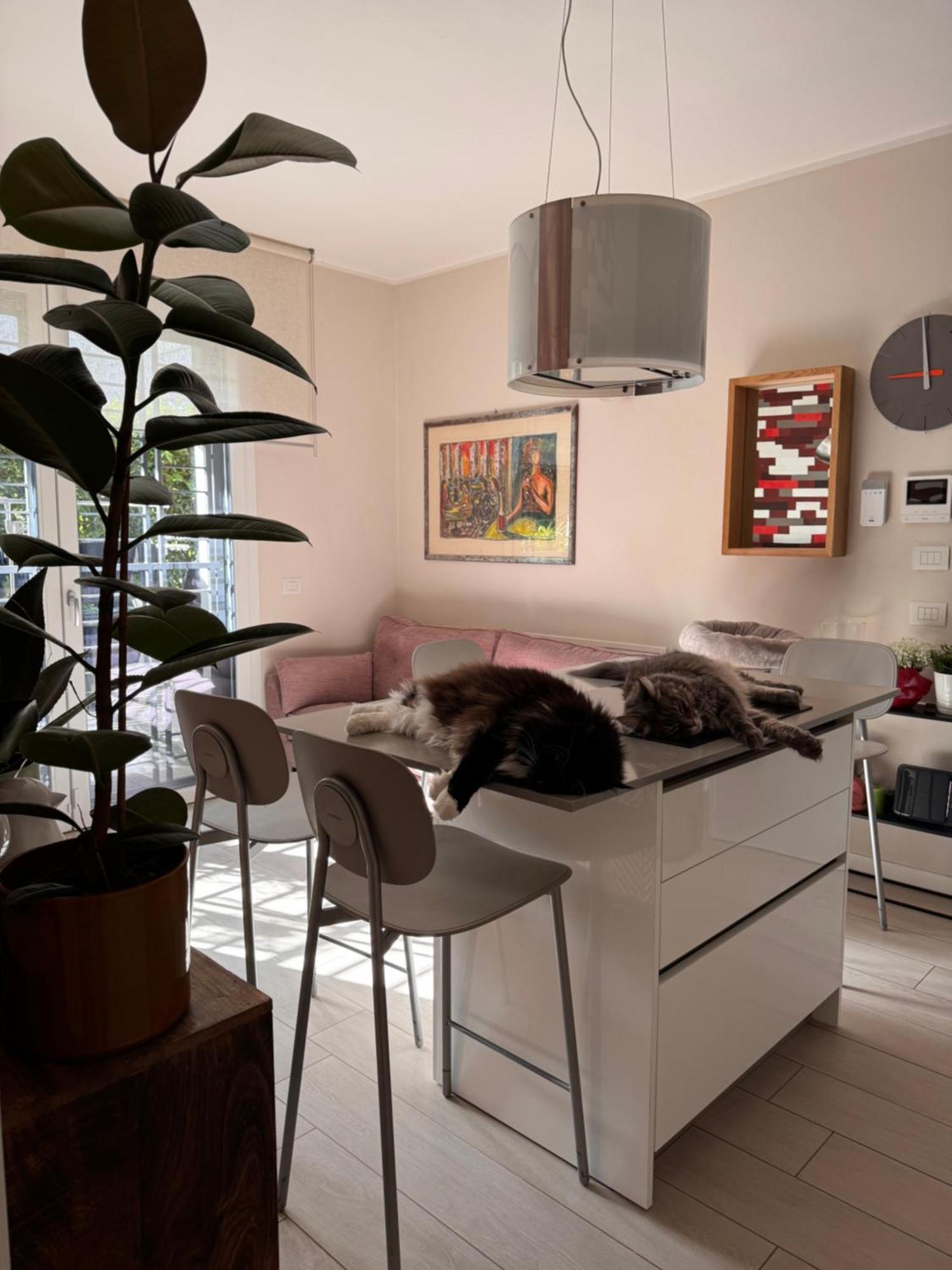 Accommodatie bij particulieren Privata Con Terrazza