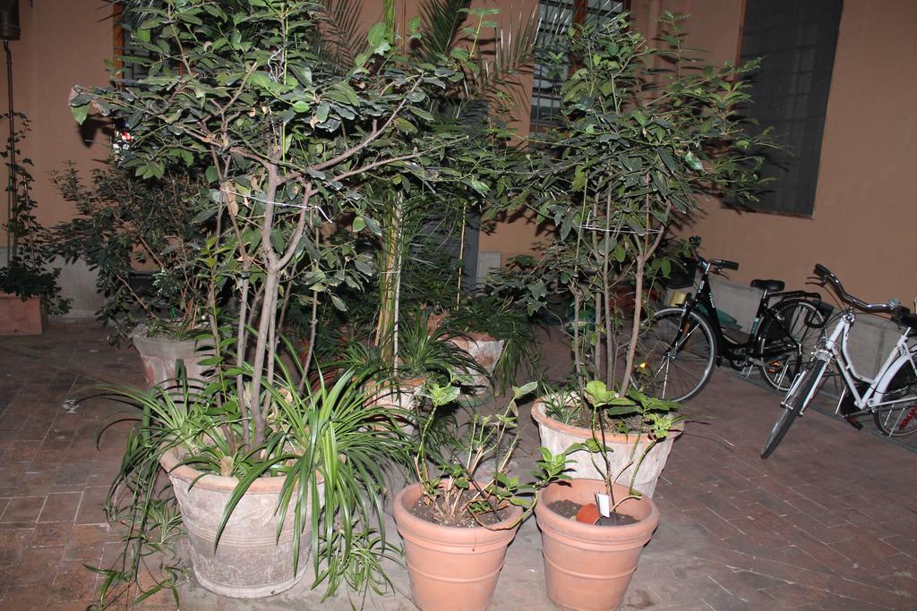 Appartamento Monolocale Oberdan