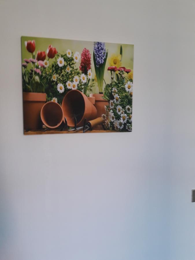 La Casa Nel 2 Guest house