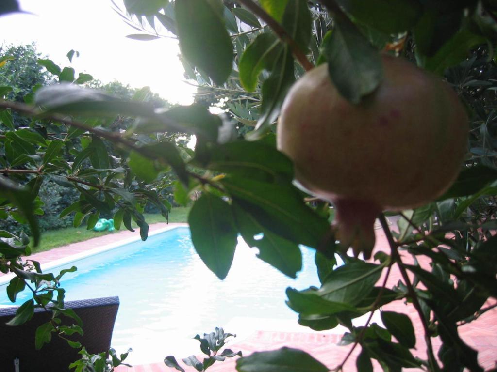 Gasthuis Al Melograno - & Breakfast *