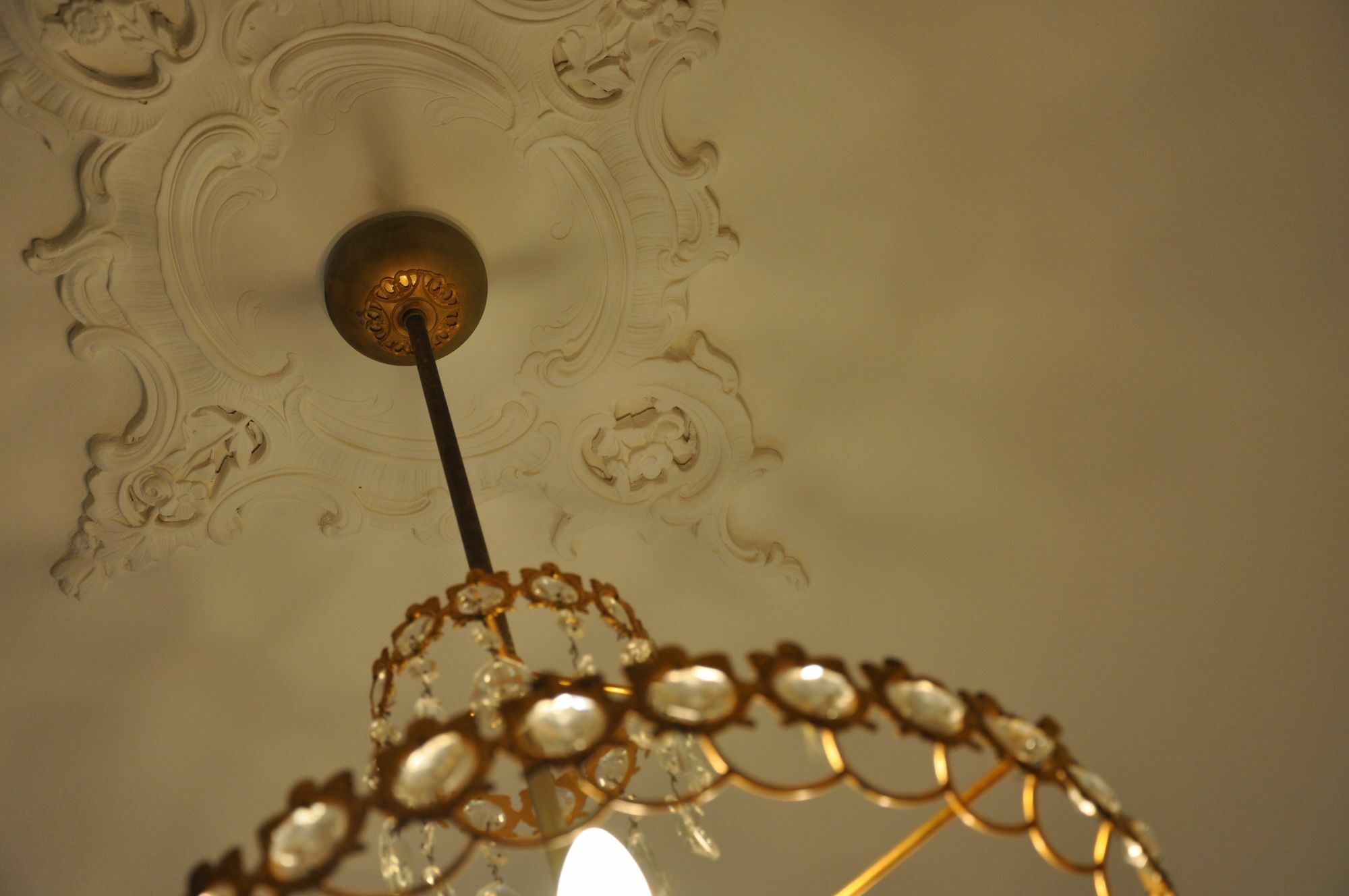 Guest house Casa Ardizzoni Bologna