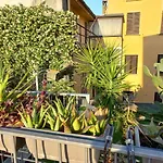 The Jasmine Terrace Retreat