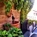 Sui Tetti Di Bologna