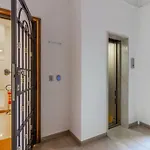 Suite Delle Casse 3