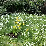 Grigio Perla Panigale, Villetta Con Giardino E Parcheggio Privato Fino A Tre Posti Auto - Un Oasi Di Tranqullita