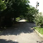 Da Ferro