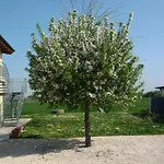 Bed & Breakfast Sant\' Eurosia
