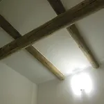 La Petroniana Home