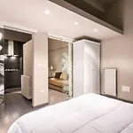 Downtown Luxury Apartment