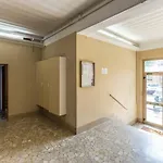 Bigari, Bologna