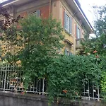 Golden House