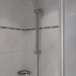 Tartaruga Beb