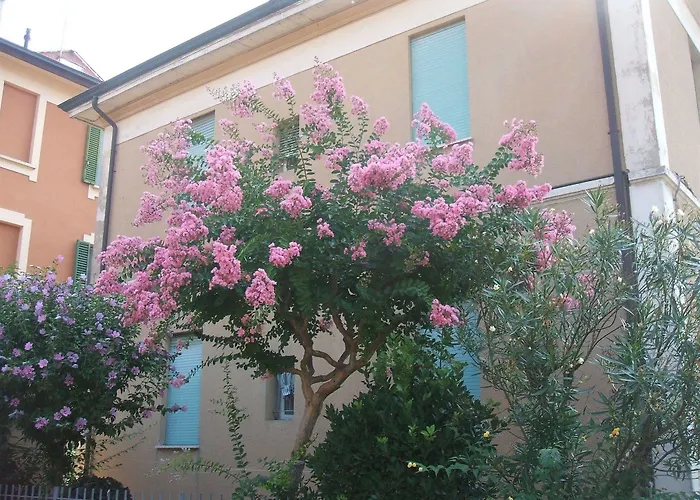 B&B Accorsi