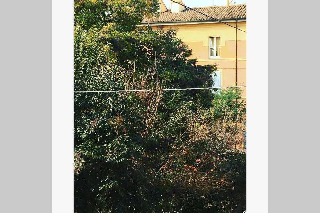 House Stazione Mazzini Flat X 2 Bologna