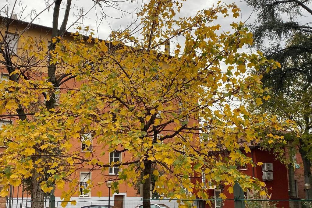 House Stazione Mazzini Flat X 2