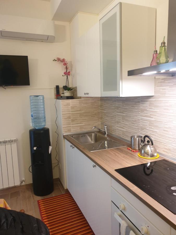Francy House 2 * Bologna