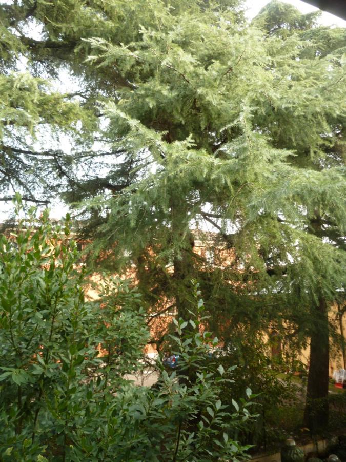 Apartment La Stanza Sui Cedri - Smart Working - Airport - Private Parking - Ducati - Philip Morris *