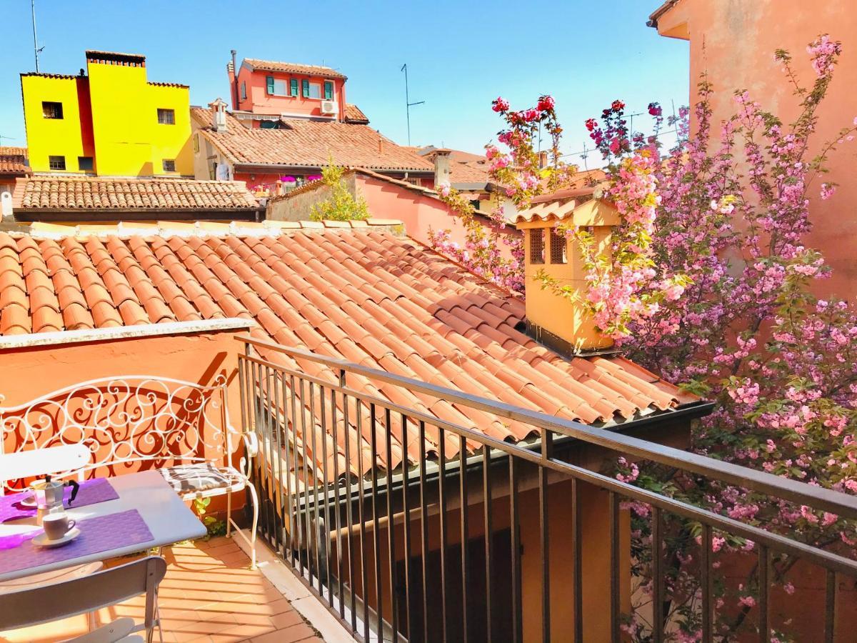Falcone 22 * Bologna