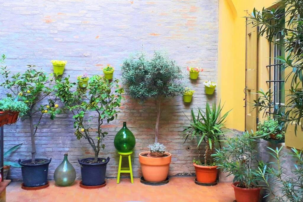 Apartamento Il Mascherone *