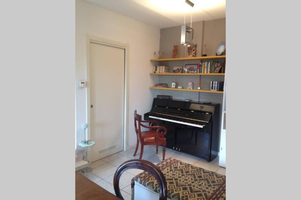 Apartment Studio Teddy Bear