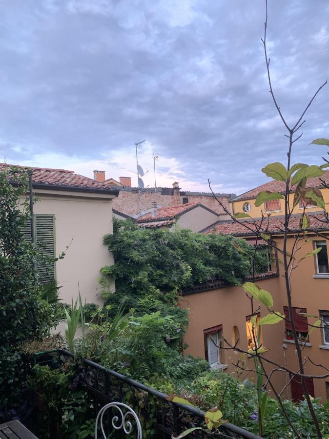 The Graffiti - Roofs Panoramic View Homestay
