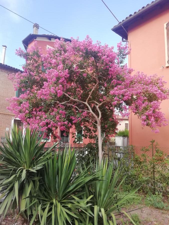 Appartamento Grigio Perla Residenza, Casa Indipendente Con Parcheggio Privato E Giardino Bologna