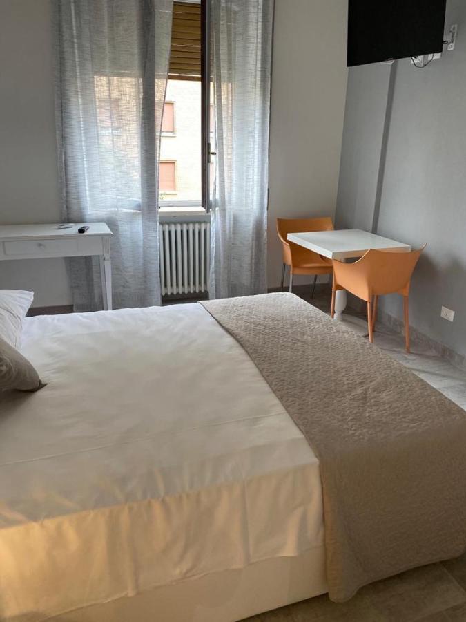 Domus Dotta New *