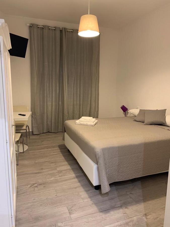 Domus Dotta New
